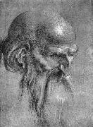 Albrecht Durer Head of an Apostle Looking Downward Germany oil painting artist